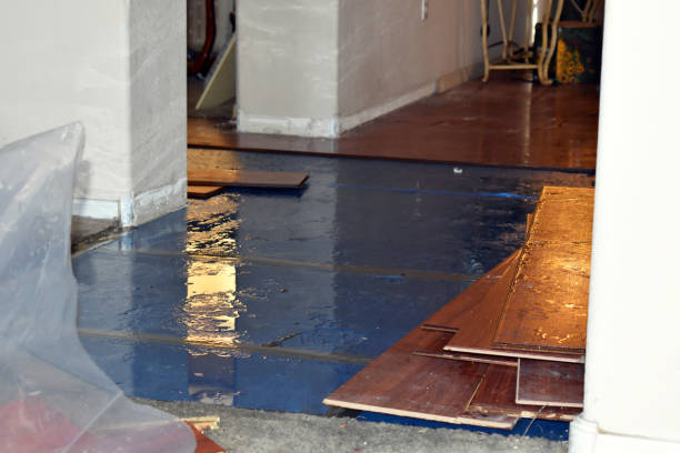 Professional Sewage Cleanup technician working in Hackettstown, NJ